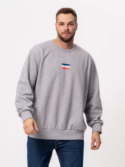 Свитшот Men Standard Graphic Crew